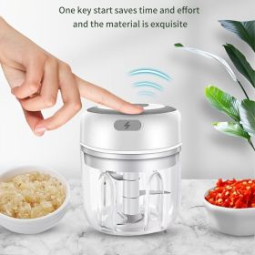 Mini Electric Garlic Masher; Wireless Electric Garlic Beater; Garlic Puller; Garlic Masher; Garlic Press; Household Garlic Masher (Capacity: 250ML, Color: Pink)